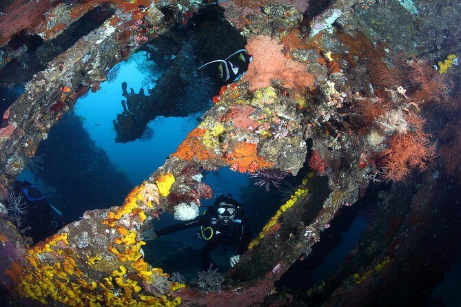 USS Liberty Shipwreck Scuba Diving at Tulamben Bali - Frequently Asked Questions