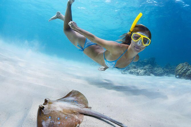 USVI Private Boat Charters - New, Fast Powerboats for Half and Full Day - Exploring the Itinerary in Detail