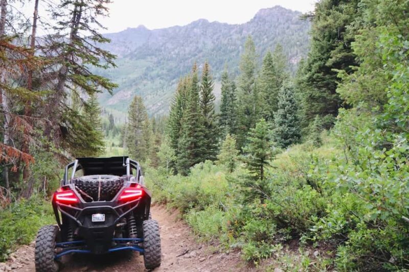 Utah: Guided UTV Tour with Local Expert - Key Points