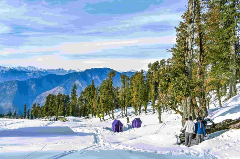Uttarakhand: Kedarkantha Trek 6-Day Adventure - Why This Trek Offers Excellent Value