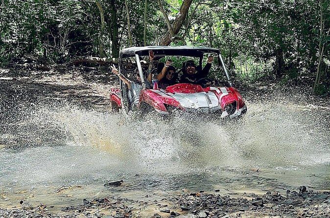 UTV adventure in Naguabo Puerto Rico 50 minutes trip 80 acres - What the Reviews Reveal: Authentic Traveler Insights