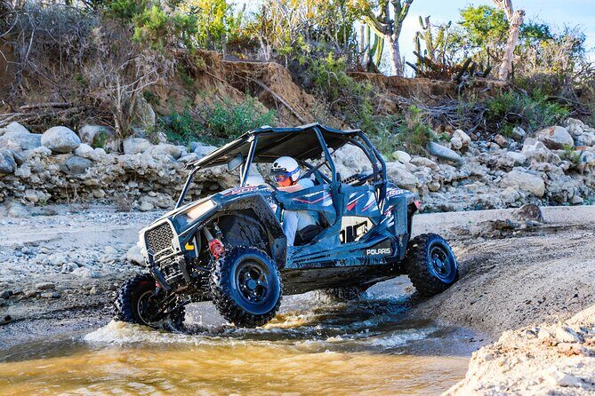 UTV and Camel Ride in the Cabo Desert - UTV and Camel Ride in the Cabo Desert: An Authentic Baja Adventure