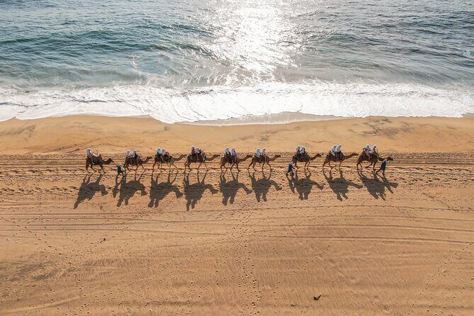 UTV and Camel Ride in the Cabo Desert - Who Should Consider This Tour?