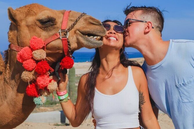 UTV and Camel Ride in the Cabo Desert - Frequently Asked Questions