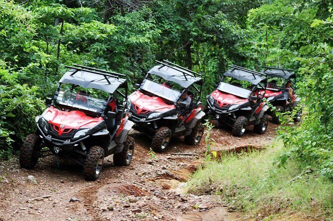 UTV Buggy 4x4 Secluded Beach Tour from Tamarindo - Key Points