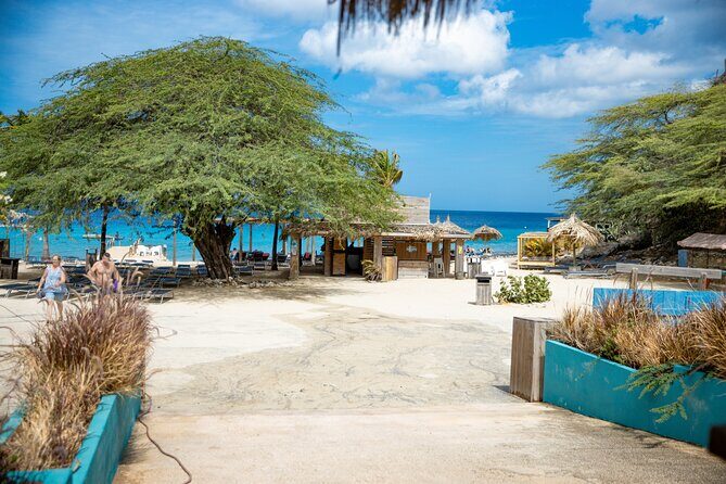 UTV Buggy and Snorkeling Tour in Willemstad Curacao - FAQ