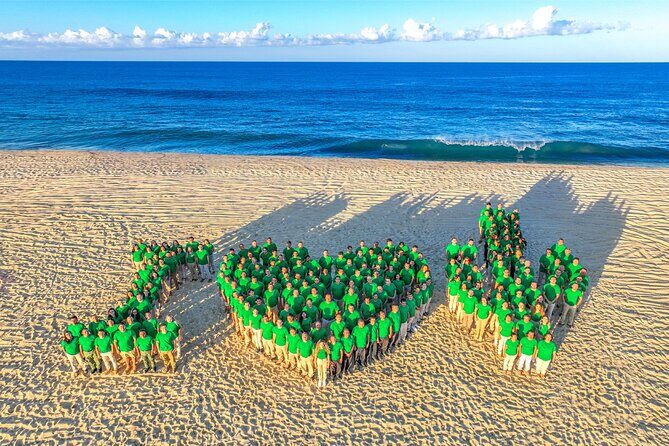 UTV, Free Horseback Ride & Sky Bikes Adventure Combo - A Closer Look at the Cabo San Lucas Adventure Combo