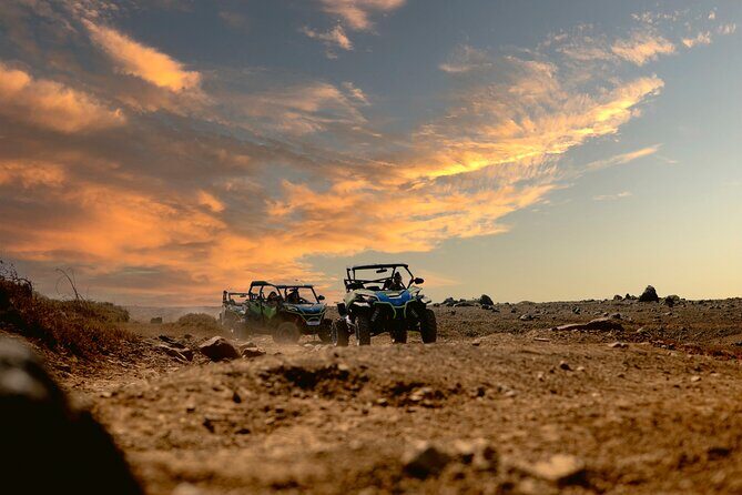 UTV Morning Tour: Discover Aruba's Hidden Treasures - What’s Included and What’s Not