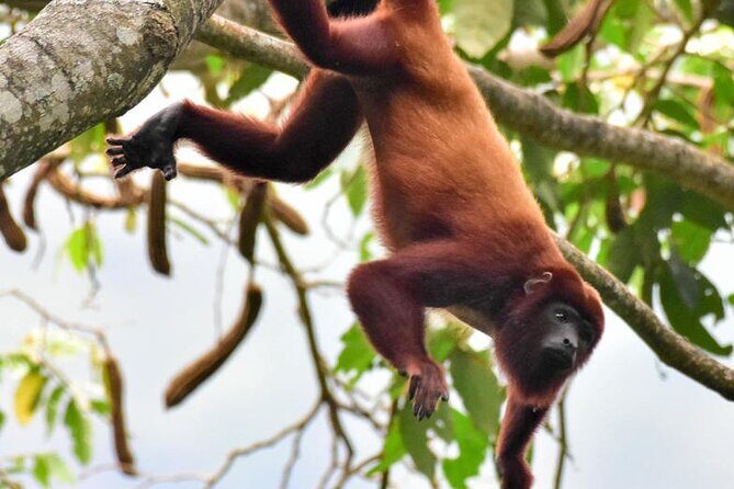 UTV Safari in a Wildlife-Filled Nature Reserve Near Cartagena - Key Points