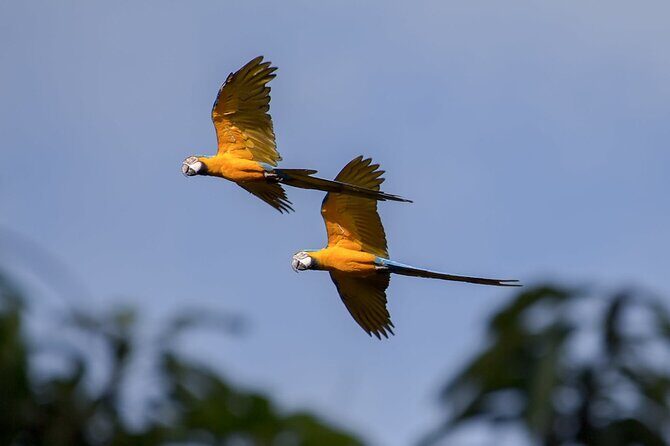 UTV Safari in a Wildlife-Filled Nature Reserve Near Cartagena - The Itinerary in Detail