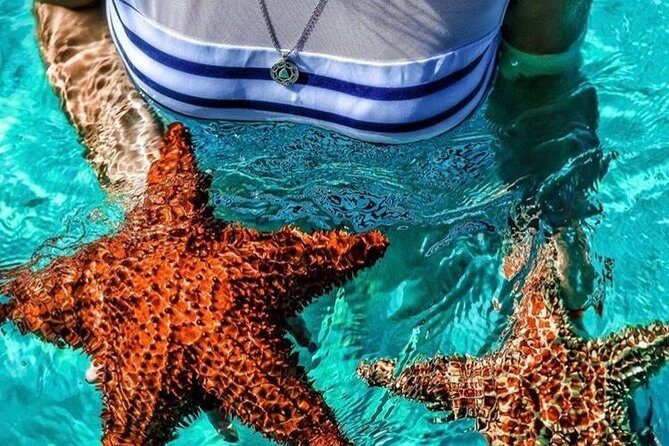 Uvero Alto Hotels - Private Round Trip from Punta Cana Airport - Key Points