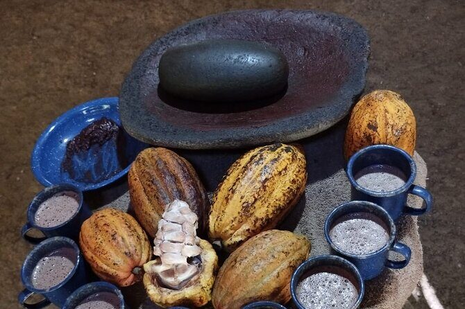 Uvita Chocolate Tour - Uvita Chocolate Tour: A Delicious Dive into Cocoa’s Journey
