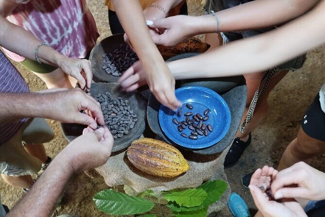 Uvita Chocolate Tour - A Deeper Look at What to Expect from the Uvita Chocolate Tour