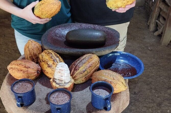 Uvita Chocolate Tour - Who Will Love This Tour?