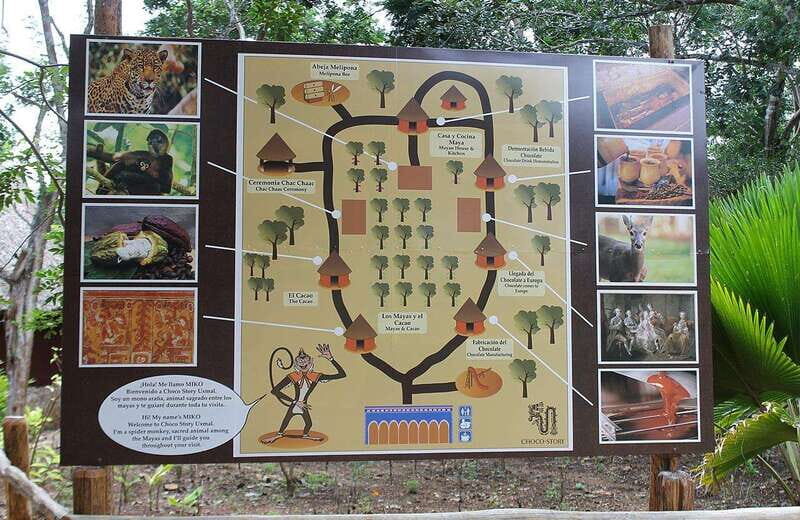 Uxmal and Choco Story Private Tour - A Hearty and Authentic Lunch