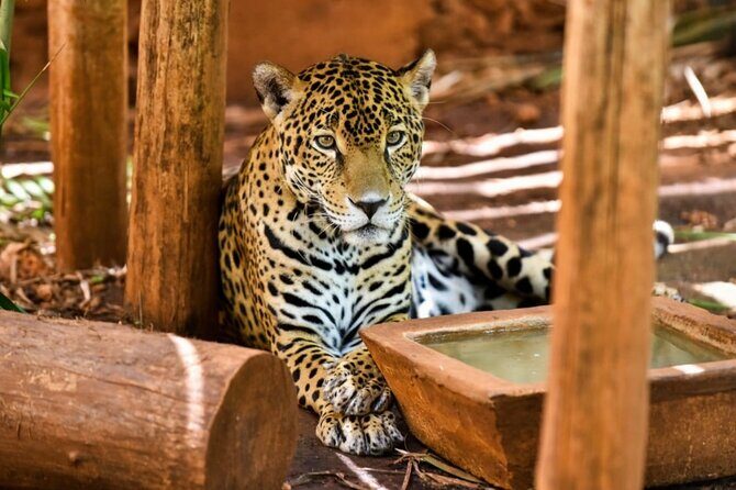 Uxmal Mayan Ruins and Chocolate Museum Experience - FAQ: Your Practical Questions Answered