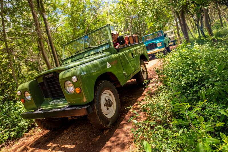 Uxmal: Vintage Land Rover Expedition to Uxmal Cenotes - Wildlife and Landscape