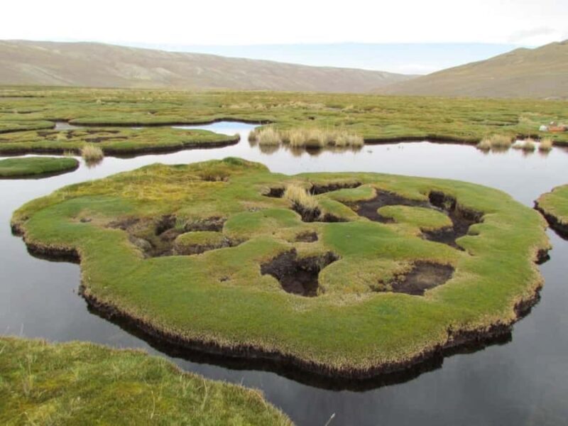Uyuni: 2-day tour to the salt flat and altiplanic lagoons - Key Points