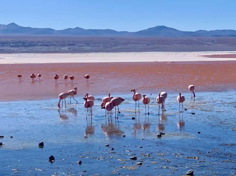 Uyuni: 3-Day Salar de Uyuni and Eduardo Avaroa Tour - Key Points