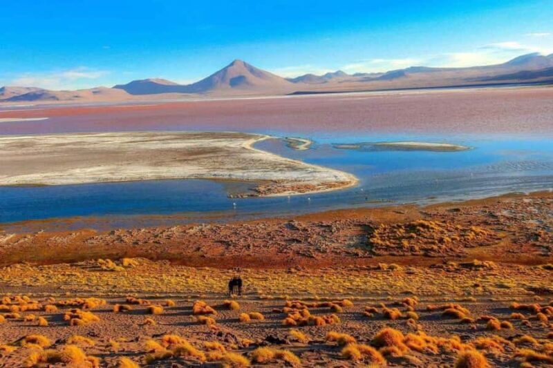 Uyuni: 3-Day Salar de Uyuni and Eduardo Avaroa Tour - FAQ