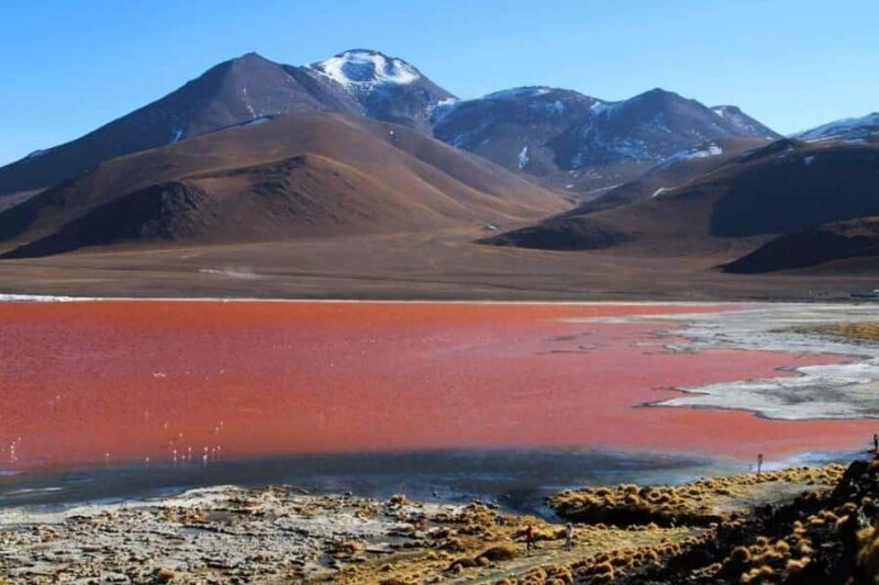 Uyuni: 3-Day Salar de Uyuni, Laguna Colorada, and Laguna - FAQ