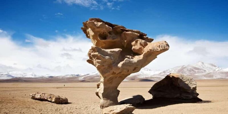 Uyuni: Excursion to Uyuni Salt Flat 2D/1N - Who This Tour Is Perfect For