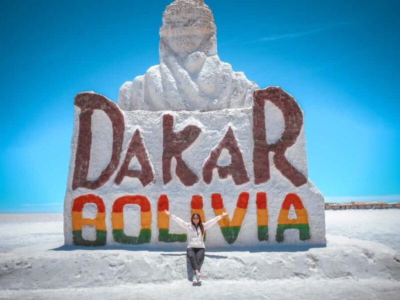 Uyuni: Isla Incahuasi & Uyuni Salt Flats Full-Day Jeep Tour - Who Would Enjoy This Tour?