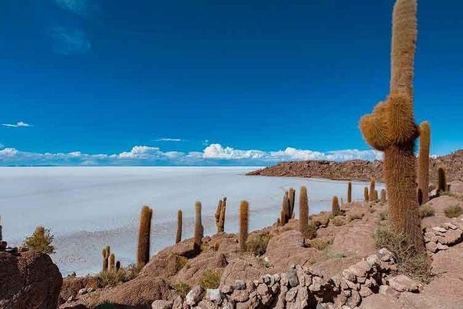 Uyuni Salt 1 day Tour with guide in English + Lunch and Sunset - Authentic Experiences from Travelers