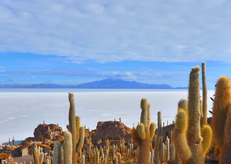 UYUNI SALT FLAT 3DAYS/2NIGHTS-CLASSIC TOUR FROM UYUN-BOLIVIA - An In-Depth Look at the Uyuni Salt Flat 3-Day Tour