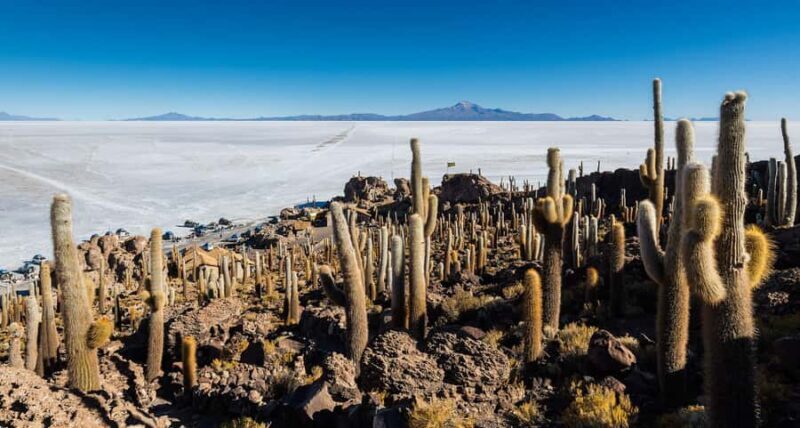 Uyuni Salt Flat and Incahuasi Island 5 days - Key Points