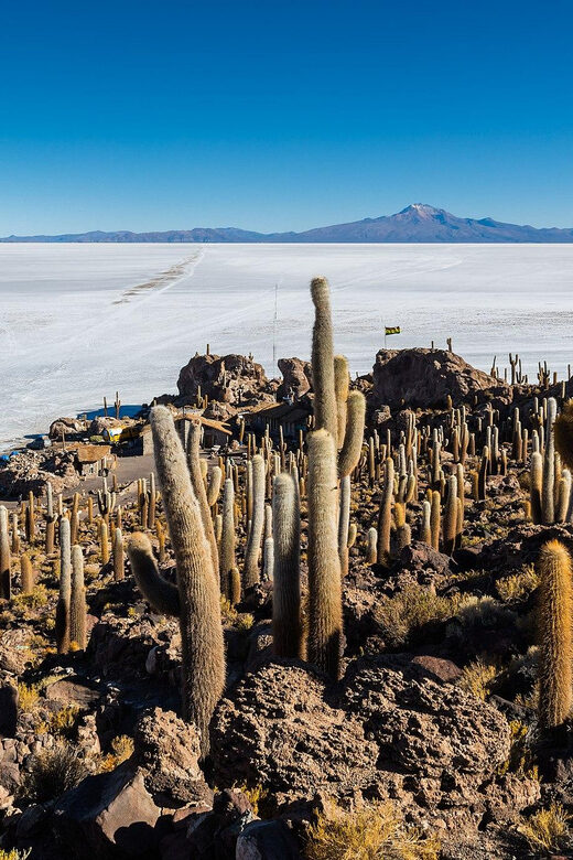 Uyuni Salt Flat and Incahuasi Island 5 days - Frequently Asked Questions