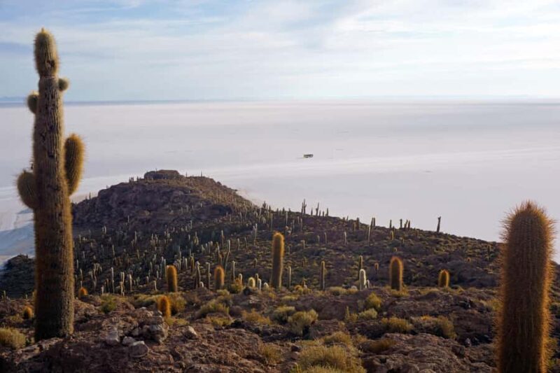 Uyuni Salt Flat Excursion | Full Day + Lunch | - Practical Details and Value