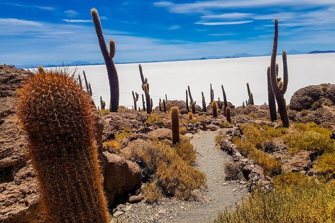 Uyuni Salt Flats - 3 Days / 2 Nights - English Speaking Guide - FAQs