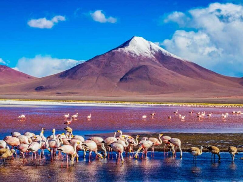 Uyuni Salt Flats (4 days) - Key Points