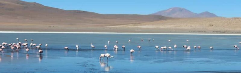 Uyuni Salt Flats (4 days) - Who should consider this tour?