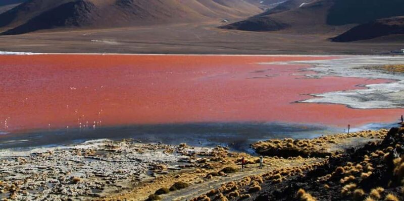 Uyuni Salt Flats and Red Lagoon 3-Days | English in Guide | - Exploring Bolivia’s Iconic Landscapes in Depth