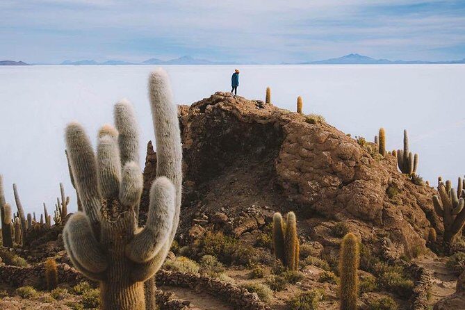 Uyuni Salt Flats day tour (4 Small Group) - Exploring the Uyuni Salt Flats Day Tour in Detail