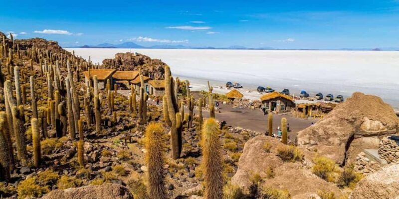 Uyuni: Salt Flats Day Trip with Train Cemetery & Incahuasi - Final Thoughts: Who Should Take This Tour?
