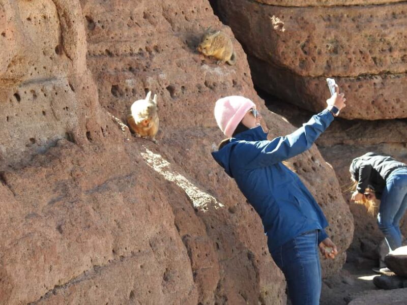 Uyuni: Uyuni Salt Flats and San Pedro de Atacama 3-Day Tour - Key Points