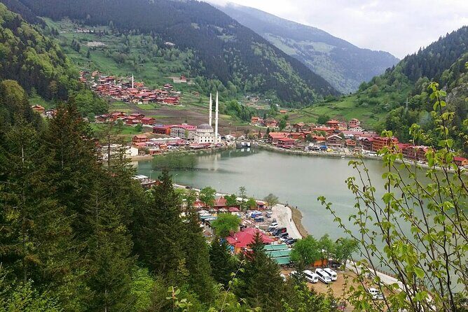 Uzungol Tour: Full-Day Nature Adventure with Tea Factory Visit - Who Is This Tour Best For?
