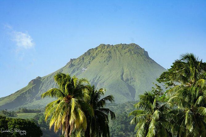 V.I.P North Caribbean deep forest Tour -The Green Martinique - Who Will Love This Tour?