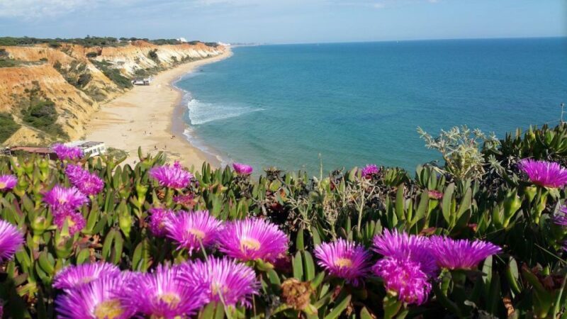 V.I.P private & exclusive road trip. The authentic Algarve. - FAQs