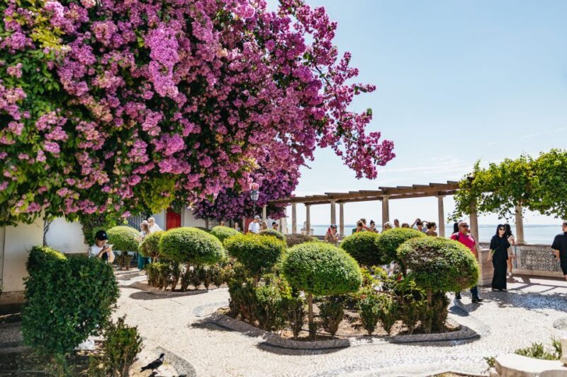 Vadio: Lisbon Old Town Private Tuk Tuk Tour - Why Travelers Love This Tour