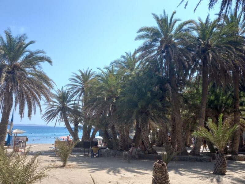 Vai Palm Beach Full Day Private Tour - Introduction: A Private Day at Vai Palm Beach in Crete