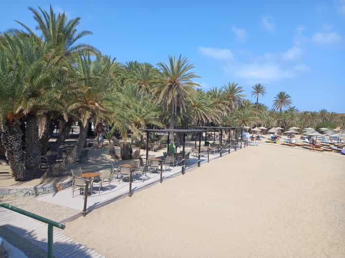 Vai Palm Beach Full Day Private Tour - Who Will Love This Tour?