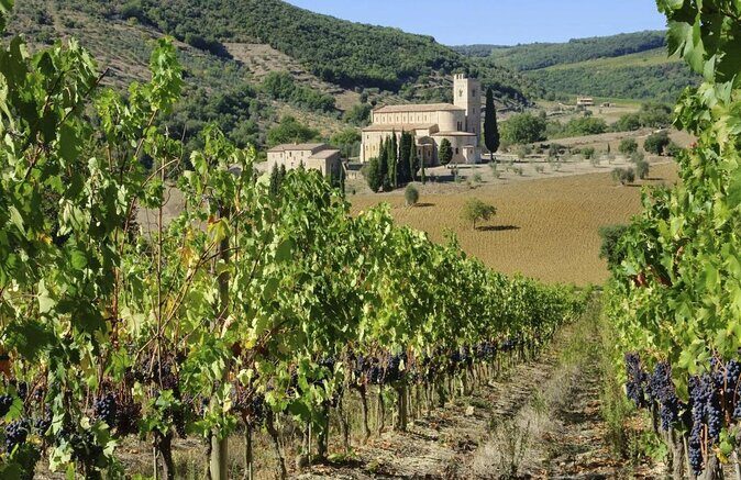 Val d'Orcia Brunello Wine Tour with Montalcino and Montepulciano - A complete look at the Val dOrcia Brunello Wine Tour