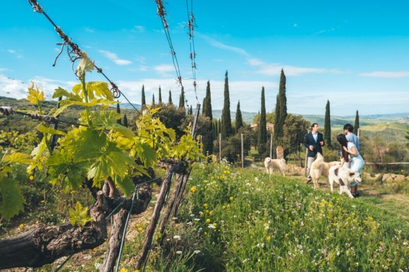 Val d'Orcia: Wine and Food Tasting at a Podere - Who Will Love This Tour?