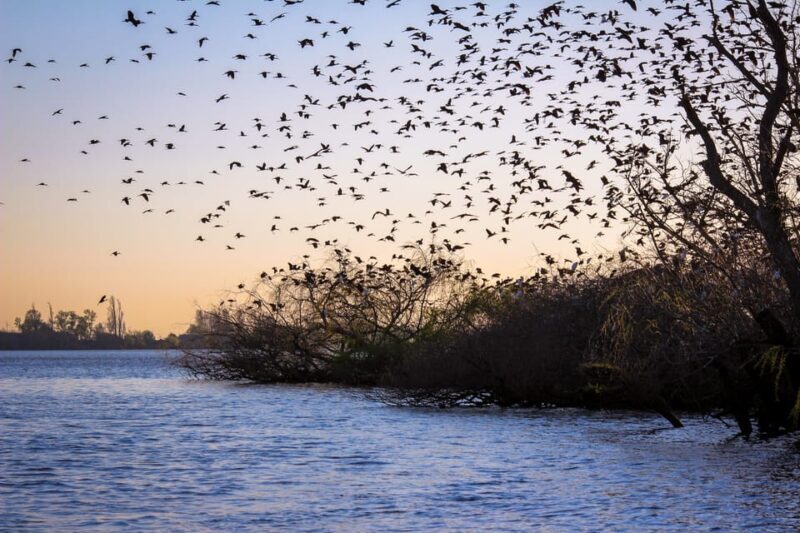 Valada: 1 hour boat trip, guided tour - Exploring the Valada Boat Tour in Detail