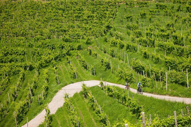 Valdobbiadene e-bike tour amongst vineyards UNESCO Prosecco Hills - In-Depth Look at the E-Bike Tour in Veneto’s Prosecco Hills