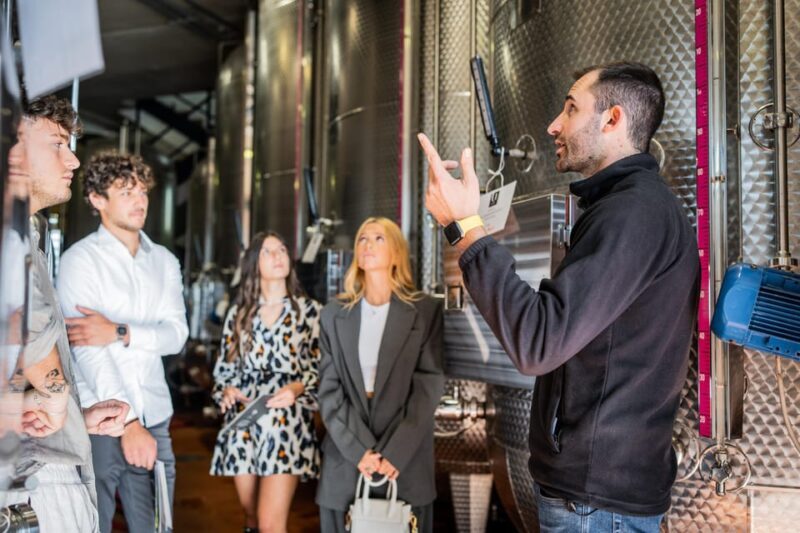 Valdobbiadene: Prosecco Tasting Experience - What to Expect from the Prosecco Tasting Experience